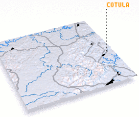 3d view of Cotula