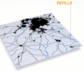 3d view of Patillo