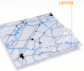 3d view of Letitia