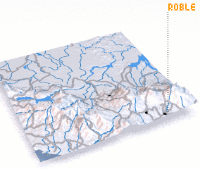 3d view of Roble