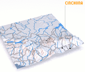 3d view of Cinchona