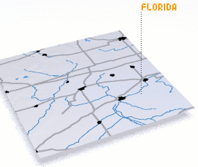 3d view of Florida