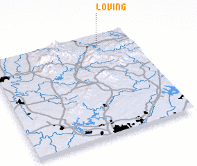 3d view of Loving