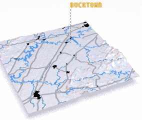 3d view of Bucktown