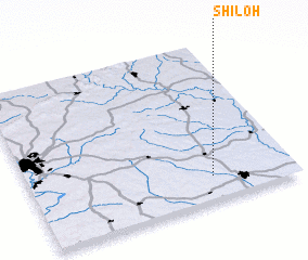 3d view of Shiloh