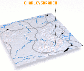 3d view of Charleys Branch