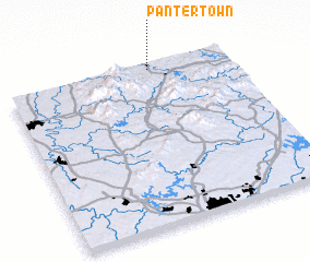 3d view of Pantertown