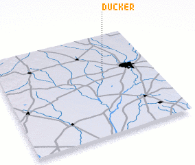 3d view of Ducker