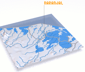 3d view of Naranjal