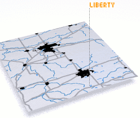 3d view of Liberty