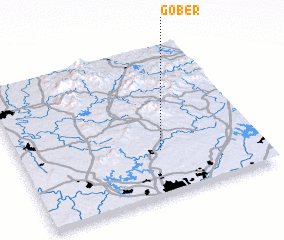 3d view of Gober
