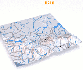 3d view of Palo