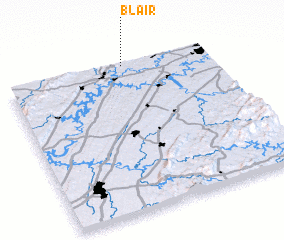 3d view of Blair