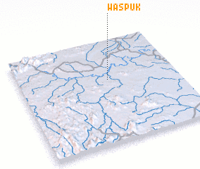 3d view of Waspuk