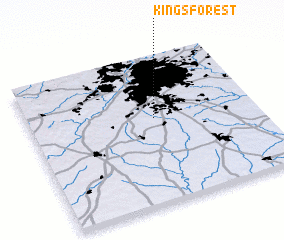 3d view of Kings Forest