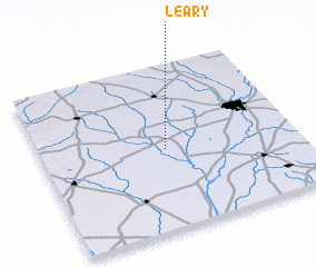 3d view of Leary