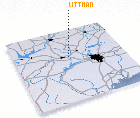 3d view of Littman