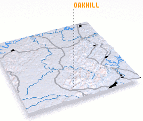 3d view of Oak Hill