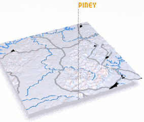 3d view of Piney