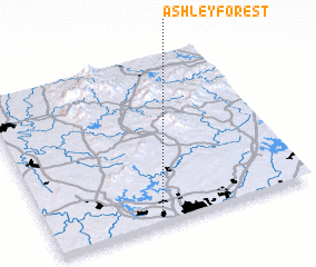 3d view of Ashley Forest