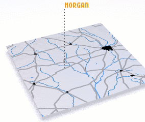 3d view of Morgan