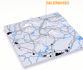 3d view of Salem Woods