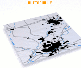 3d view of Muttonville