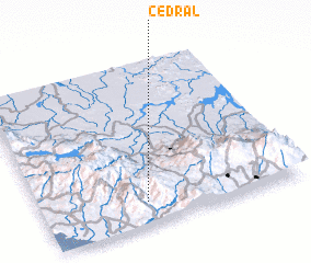 3d view of Cedral