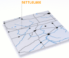 3d view of Nettle Lake