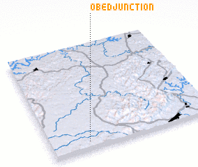 3d view of Obed Junction