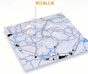 3d view of McCallie