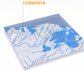 3d view of Ciudad Paya