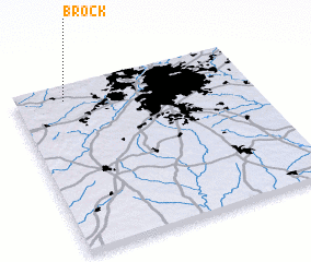 3d view of Brock