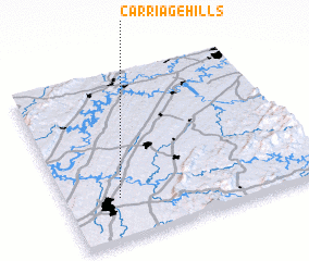 3d view of Carriage Hills