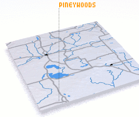 3d view of Piney Woods