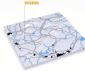 3d view of Redbud