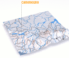 3d view of Caño Negro