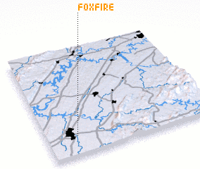 3d view of Foxfire