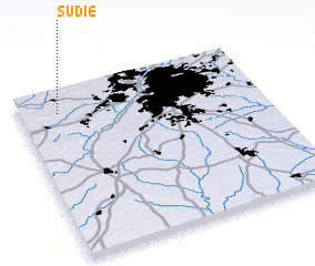 3d view of Sudie