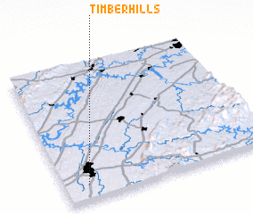 3d view of Timber Hills