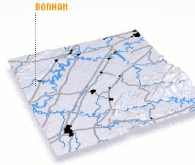 3d view of Bonham