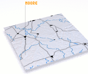 3d view of Moore