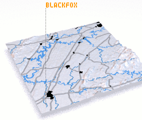 3d view of Black Fox