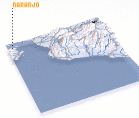 3d view of Naranjo