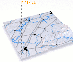 3d view of Pine Hill