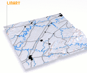 3d view of Linary