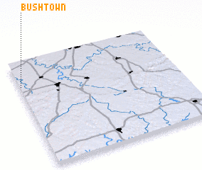 3d view of Bushtown