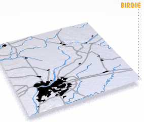 3d view of Birdie