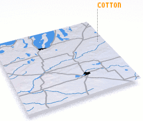 3d view of Cotton