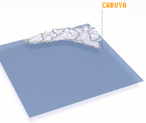 3d view of Cabuya